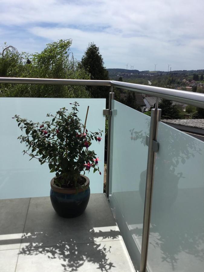 Ferienwohnung Landblick Niederlinxweiler Luaran gambar